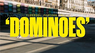 Tidepool - Dominoes video