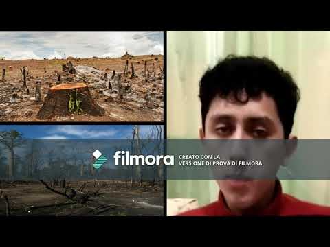 Trabajo (Examen de ingles)