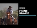 More women are becoming drovers and one employer says some are better suited to the job | ABC News