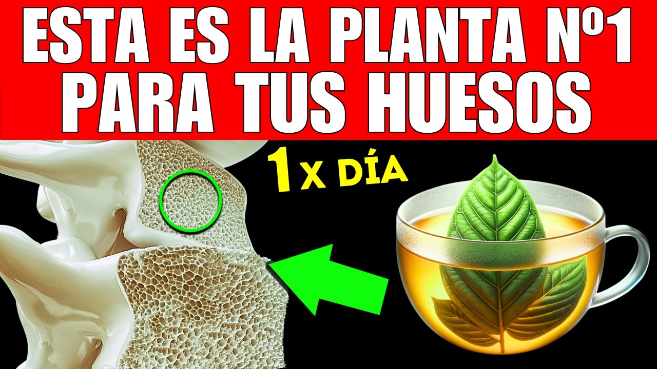 PLANTA #1 que MEJORA tus HUESOS (CÓMO TOMARLA)