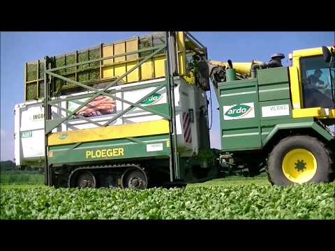 Ploeger MKC-2TR / Spinazie oogsten / Harvesting spinach /  Spinat ernten / Ardo / Maverko