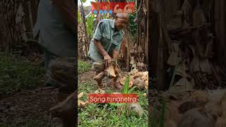 Download lagu sang tunanetra tak pernah menyerah 💪🏽 mp3