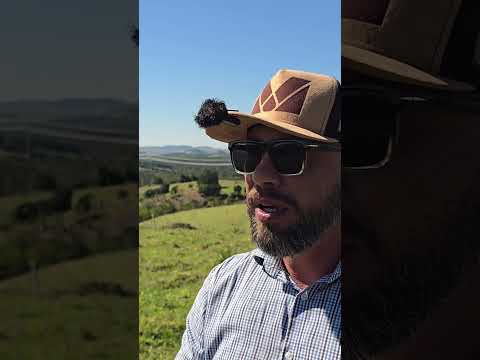 SITIO PANORÂMICO DO PEDRO R$ 800 MIL WHATSAPP DELE 43 99860-4310