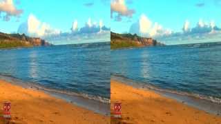 3D Video Beach Hawaii Nature Scene - 3D Video Everyday N°112
