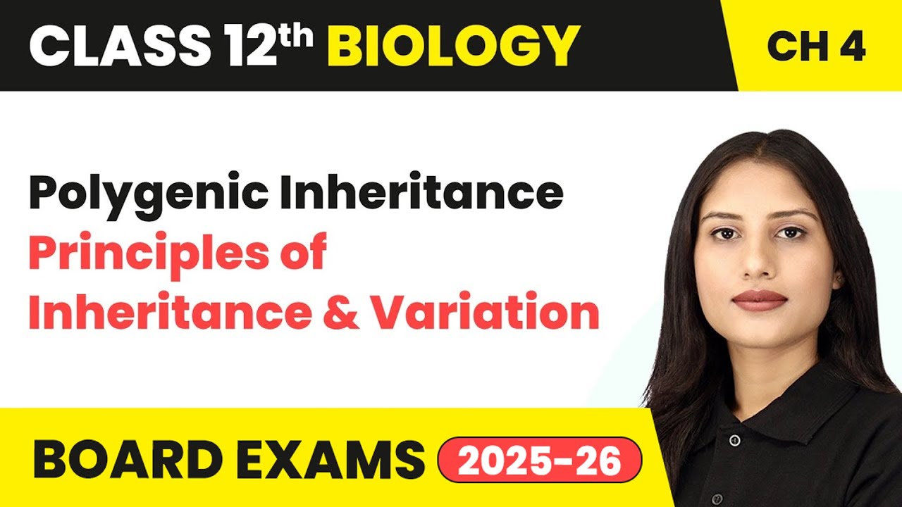 Polygenic Inheritance - Principles of Inheritance and Variation | Class 12 Biology Chapter 4 | CBSE