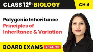 Polygenic Inheritance - Principles of Inheritance and Variation | Class 12 Biology Chapter 4 | CBSE