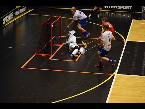 6.4.2019 Umeå City IBF blå - Nibacos 04 Edustus