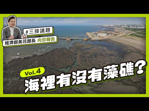 海裡有沒有藻礁? 