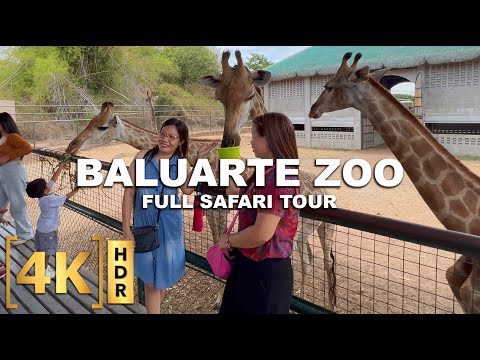 O famoso Zoológico Baluarte na cidade de Vigan e Chavit Singson! | Passeio a pé | Ilocos Sur, Filipinas