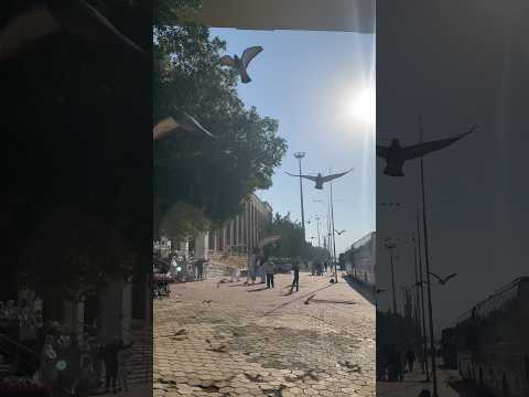 Masjid e nimra Saudi’s Arabia #mosque #nimra#saudiarabia #