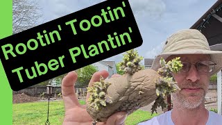 Mystery Montana Spud Meets Fancy Blue Eyed Tater! My Potato Planting Adventure!