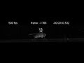 Walking fruit fly Drosophila melanogaster carrying a weight - Neurogenetics of Locomotion Lab Walking fruit fly Drosophila melanogaster carrying a weight