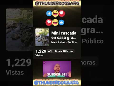 Cual tiene más éxito #perros #casagrande #cordoba