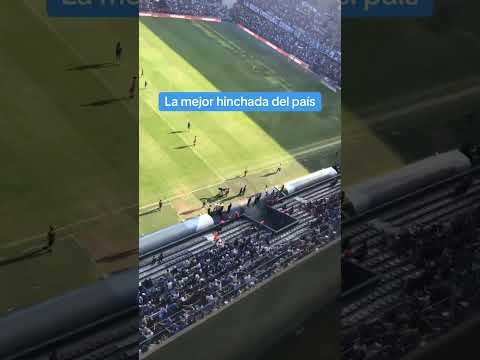 "Emelec y la mejor hinchada del Ecuador" Barra: Boca del Pozo &bull; Club: Emelec