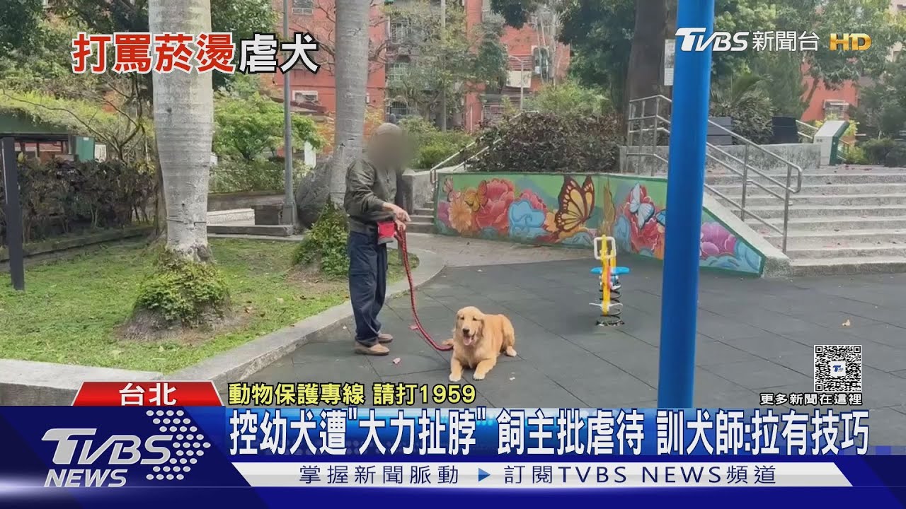 控幼犬遭「大力扯脖」飼主批虐待 訓犬師:拉有技巧