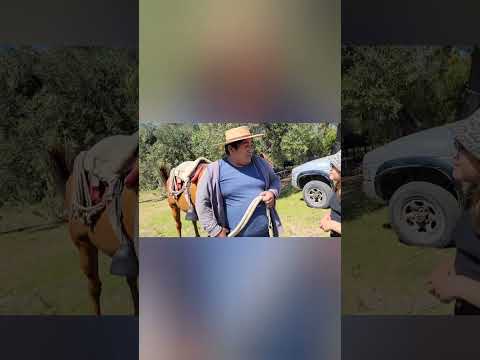 Las hermanitas Z, cabalgatas freirina , 3 región #freirina.#familia #atacama #caballos#cabalgatas 