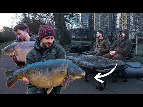 Quest For A 30lb Carp - London Park Lake Campaign!