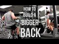 MAKING GAINS 2 DAY 11 - HOW TO BUILD A BIGGER BACK