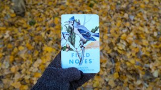 I'm Ditching eBird