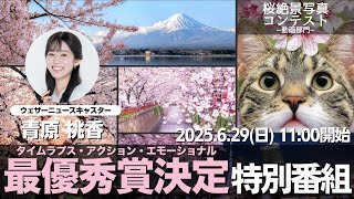 【特別番組】桜絶景写真コンテスト~動画部門~最優秀賞決定番組(タイムラプス・アクション・エモーショナル)/2025.6.29(日) 11:00~
