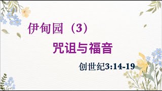 创世记第三章（三）——诅咒与福音 讲道封面