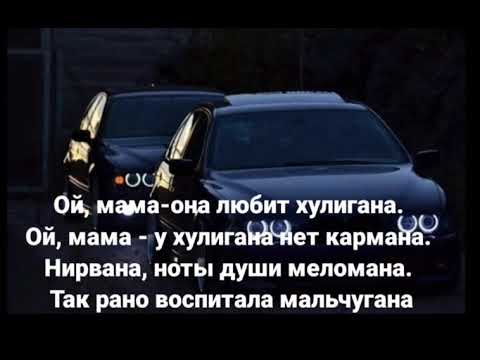 Полюбила душу хулигана