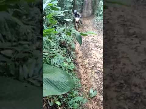 trilha em luis alves