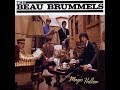 The Beau Brummels - Magic Hollow..