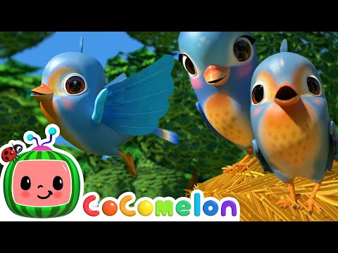 Five Little Birds | Baby Animals For Kids | CoComelon Animal Time