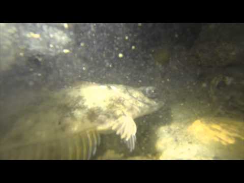 Highlights 2014.04.06