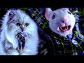 Snowbell Saves Stuart Little