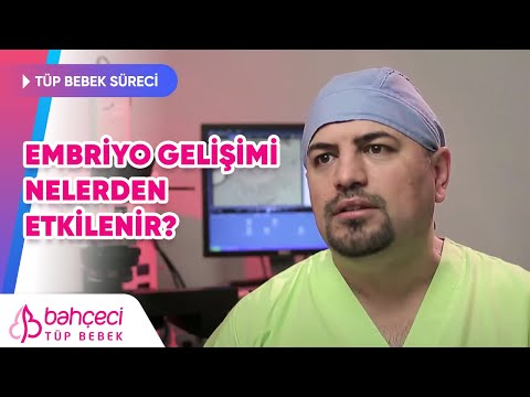 Embriyo gelişimi nelerden etkilenir?
