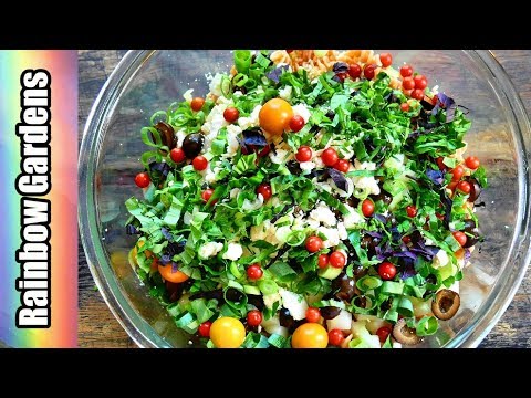 download lagu mp3 mp4 Garden Lentil Salad, download lagu Garden Lentil Salad gratis, unduh video klip Garden Lentil Salad