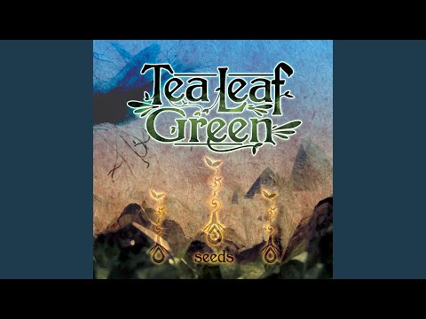 Freedom - Tea Leaf Green