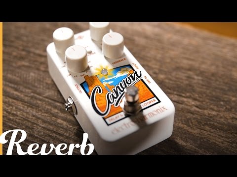 Electro-Harmonix Canyon Delay Looper | Reverb Demo Video