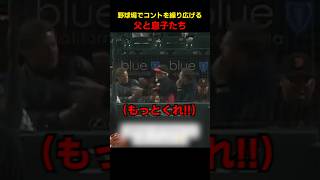 野球場でコントを繰り広げる父と息子たち