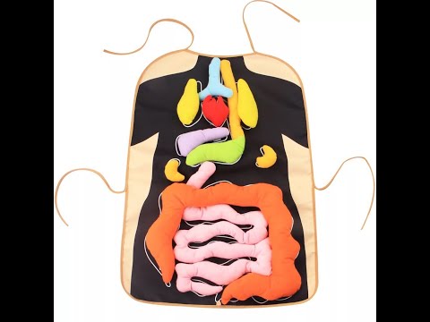 GIÁO CỤ DẠY HỌC MONTESSORI VỀ CÁC CƠ QUAN NỘI TẠNG TRONG CƠ THỂ - BÉ VÀO VAI BÁC SĨ NGOẠI KHOA - BAO NGON TOYS - DV34