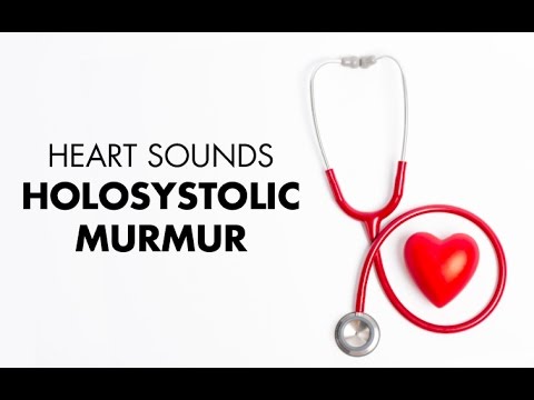 Holosystolic Murmur - Heart Sounds - MEDZCOOL