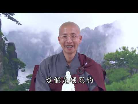 15 09 002 學習法藏比丘 救度苦難眾生——《無量壽經》積功累德第八（全字幕）