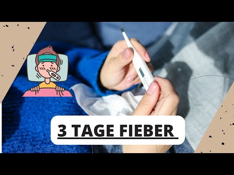 DREI TAGE FIEBER- das solltest du dazu wissen ❗️
