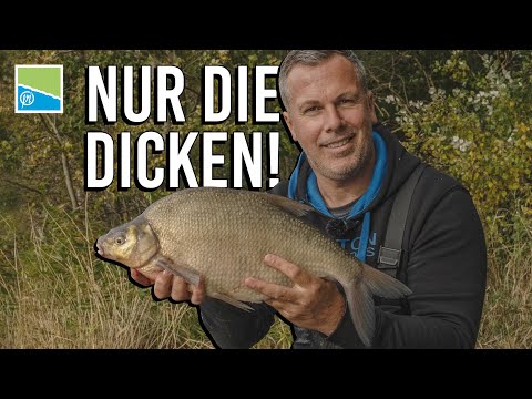 Gezielt auf GROßE FISCHE feedern! + Unbekanntes Gewässer, wie vorgehen!?