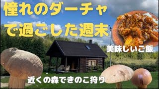 【20】憧れのダーチャで過ごした週末|ヴィリニュス|リトアニアVlog|北欧・東欧|バルト三国|ヨーロッパ|海外生活|海外移住|きのこ狩り|ポルチーニ