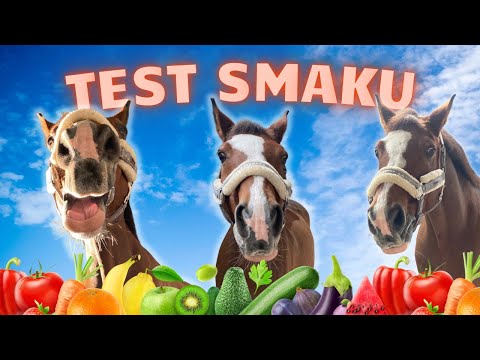 IS ARON FUSSY? 🍎 HORSE ASMR 😂