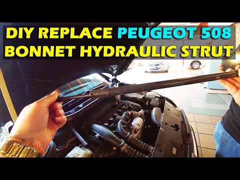 HOW TO REPLACE Peugeot 508 Bonnet Hydraulic Strut #peugeot508 #bonnetstrut