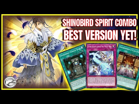 Shinobird Spirit Combo Is UNSTOPPABLE – Best Version Yet!