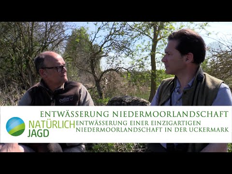 Entwässerung einzigartiger Niedermoorlandschaft in der Uckermark - Interview Erimar von der Osten