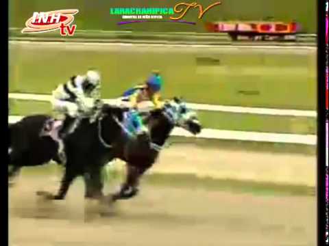 LA RINCONADA 2 CARRERA SABADO 22 DE NOVIEMBRE DEL 2014