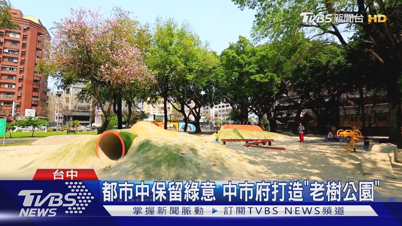 都市中保留綠意 中市府打造「老樹公園」