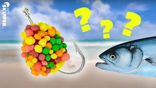 Why does EVERYONE want to EAT MY FISHING BAIT? I was shocked! (Florida Beach Fishing)