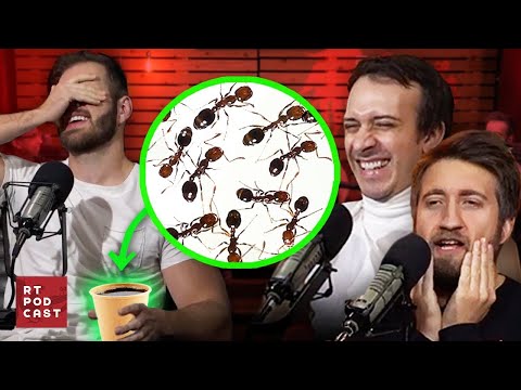 Blaine Drinks Ants?! - Ep. 679 - RT Podcast